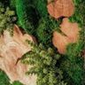 Holzbock Berlin
