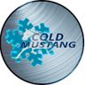Cold Mustang Trockeneisreinigung / Trockeneisstrahlen