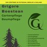 Grigore Boestean