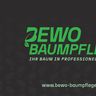 BeWo-Baumpflege
