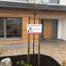 Gartengestaltung Moos