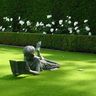 Lawndoctor