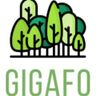 GIGAFO