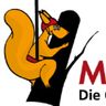 Die Grünen Experten