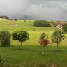 Land u. Forstbetrieb