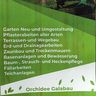 Orchidee Galabau