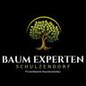 ✪ Baumpflege und Fällung Berlin Brandenburg; biri diyebilir ki: ✪