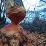 Garten- und Landschaftspflege Riedering