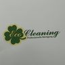 Eco cleaning