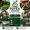 Fotea