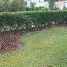 Gartenpflege Demirci
