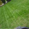 Gartenpflegen & Hausmeisterservice