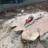 B&E Imeri Garten und Landschaftsbau