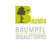BAUMFAELLT-Baumpflege-Problembaumfällung-Seilklettertechnik