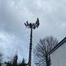 Holz Grünpflege rund ums Haus