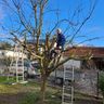 Bundemm Haus & Gartenservice