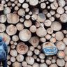 TW-Wood