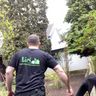 Liri Haus-und Gartenservice