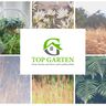 Top Garten AFG GmbH