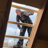 DACHundFENSTER.de