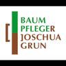 Baumpflege Grun