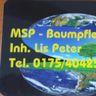 MSP - Baumpflegeteam