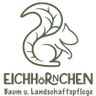 Eichhörnchen Baum- und Landschaftspflege