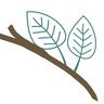 Kindermann Gartenpflege