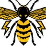 Elektro Yellowjacket