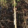 Garten und Forstbetrieb Hame