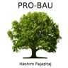 PRO-BAU