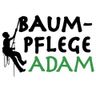 Baumpflege Adam
