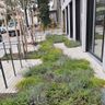 Kava Garten und Landschaftsbau