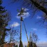 Anhängervermietung & Hausmeisterservice Sturm