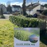 Allesgrün365