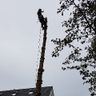 Grün.arbeiten