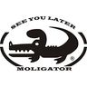 Moligator Inh. Alexander Molitor