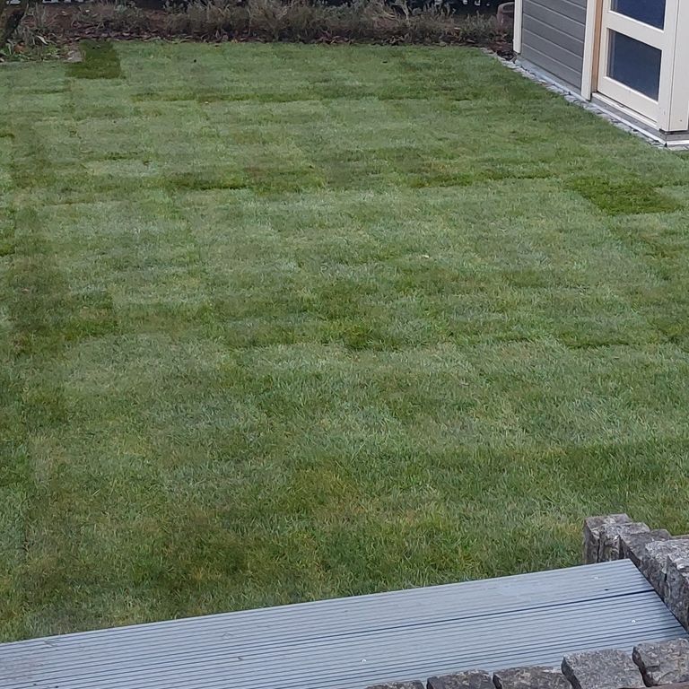 Rasen: 45 m²; Nach Rücksprache; Naturrasen verlegen