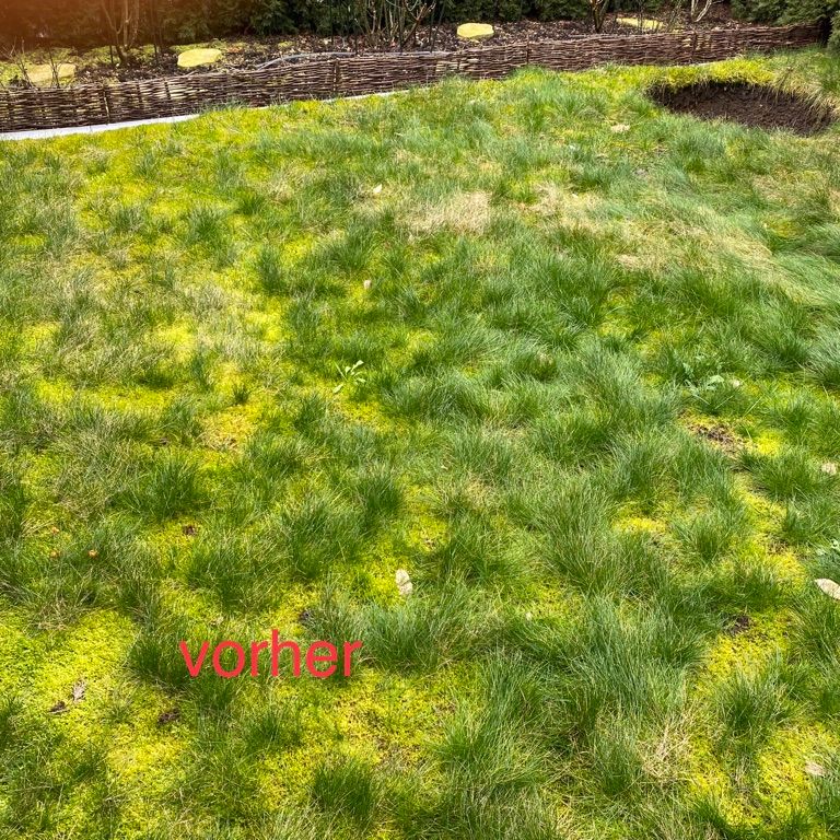 Gartenpflege: 55 m2; Rasen Vertikutieren