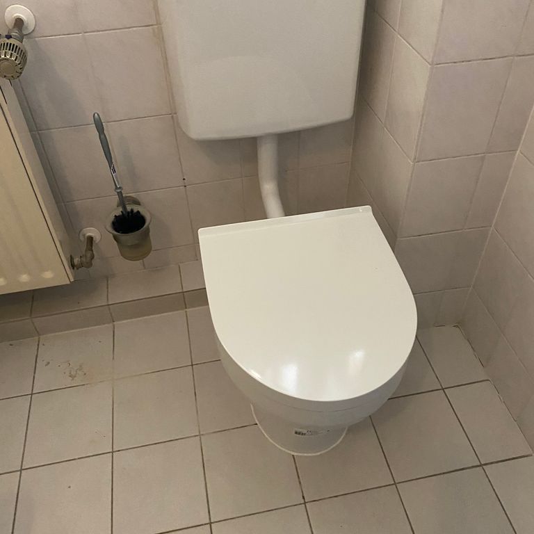Sanitär: Toilette; Installation, Austausch, Entfernen