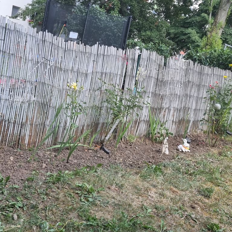 Gartenpflege: Heckenschnitt, Rasen mähen, Unkraut entfernen, Verblü...