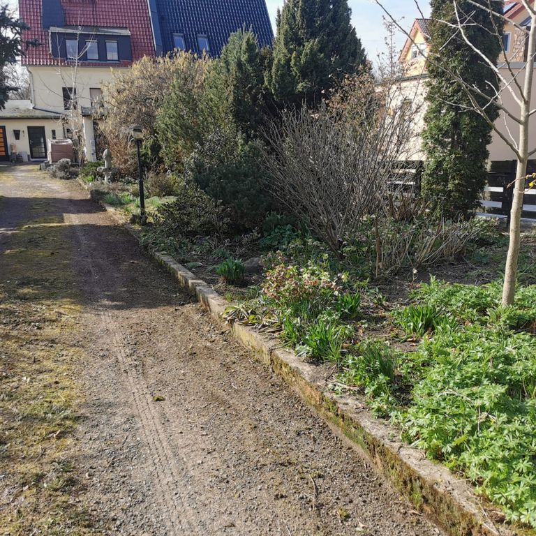 Gartenpflege: 1000 m2; Heckenschnitt, Rasen mähen, Unkraut entferne...