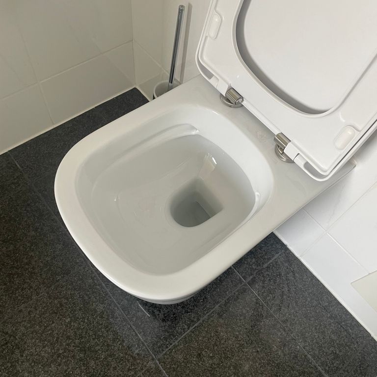 Sanitär: Toilette; Austausch
