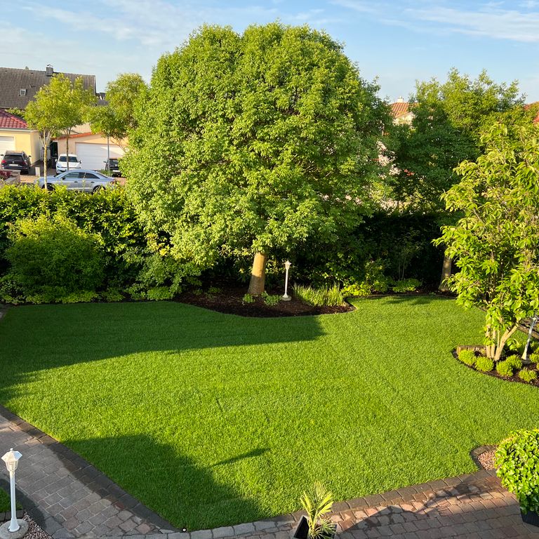 130 m² Rasenfläche anlegen, Rollrasen legen, Entsorgung erforderlic...