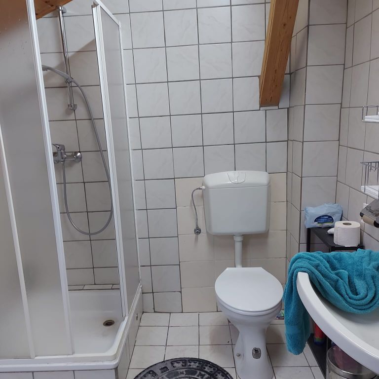 Sanitär: Dusche, Toilette, Waschbecken; Austausch, Entsorgung