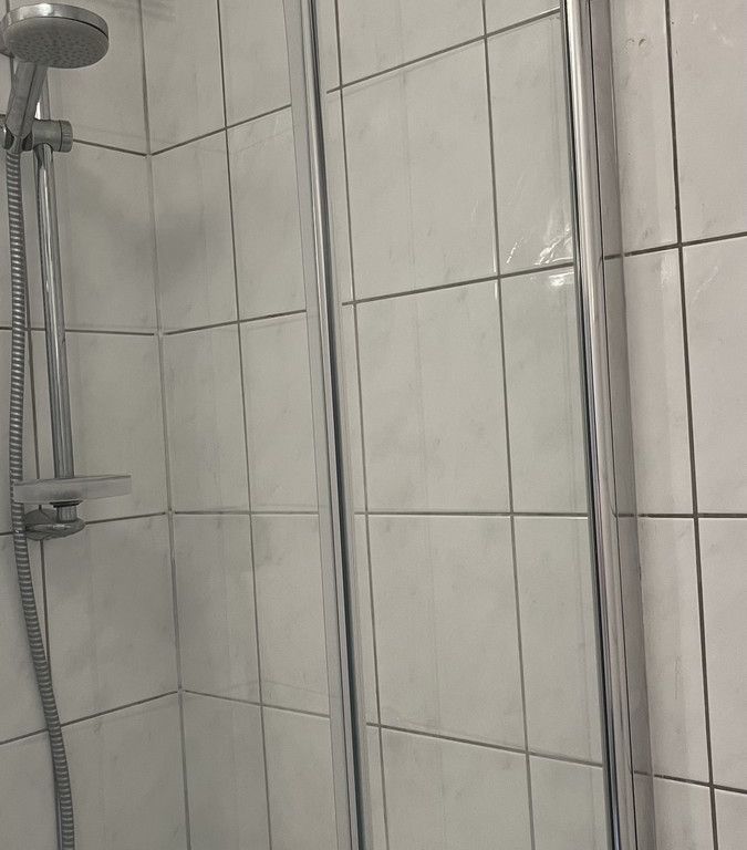 Sanitär: Dusche, Fugen (wegen Dreck/Schimmel) erneuern; Austausch
