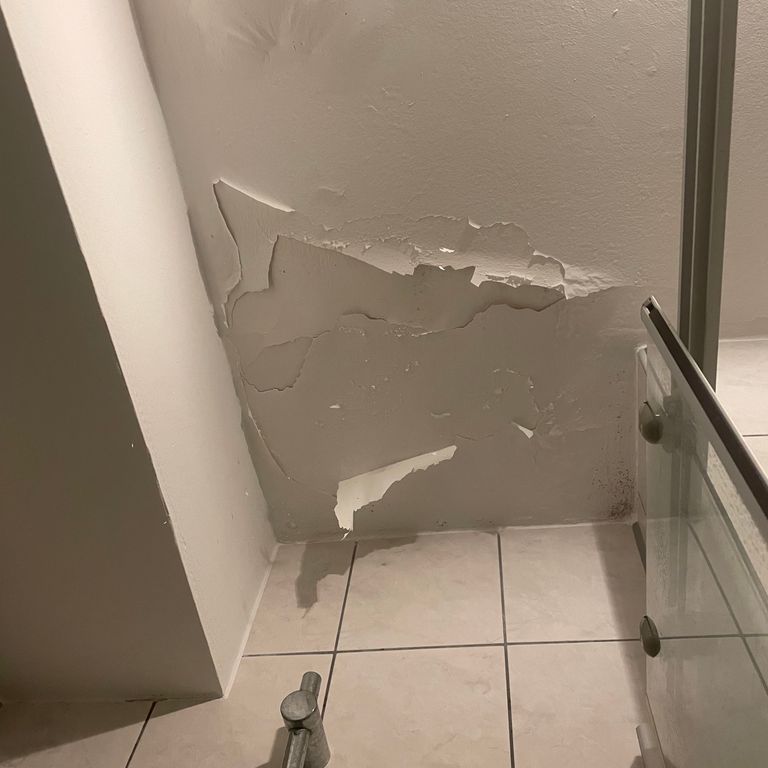 2,3 m² Deckenfläche Decke streichen + Farbe benötigt in 91058 Erlangen