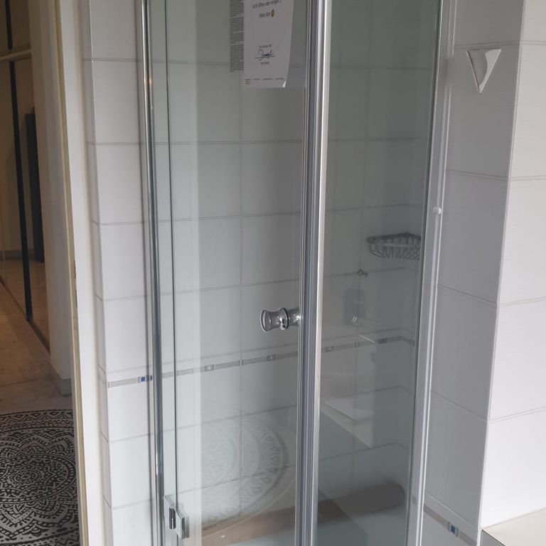 Sanitär: Dusche; Installation, Austausch, Entfernen, Entsorgung